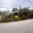  Grundstück zu verkaufen in Cozumel, Quintana Roo, Cozumel