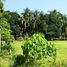  Land for sale in Bohol, Central Visayas, Panglao, Bohol