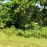  Land for sale in Bohol, Central Visayas, Panglao, Bohol