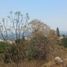  Land for sale in Zapopan, Jalisco, Zapopan