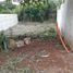  Land for sale in Coatepec, Veracruz, Coatepec