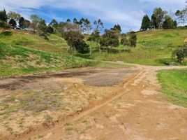 Terrain à vendre à Rionegro, Antioquia, Rionegro, Antioquia, Colombie