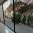 Villa 3 chambre à vendre à Morelia, Michoacan, Morelia