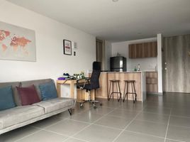 1 Bedroom Apartment for rent in Bare Foot Park (Parque de los Pies Descalzos), Medellin, Medellin