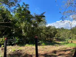  Land for sale in El Carmen De Viboral, Antioquia, El Carmen De Viboral