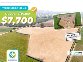  Terreno (Parcela) en venta en Quilmana, Cañete, Quilmana