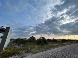  Land for sale in Lagos De Moreno, Jalisco, Lagos De Moreno