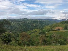  Terreno (Parcela) en venta en Cebu City, Central Visayas, Cebu City, Cebu, Central Visayas, Filipinas