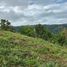  Terreno (Parcela) en venta en Cebu City, Central Visayas, Cebu City, Cebu, Central Visayas, Filipinas