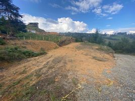  Terreno (Parcela) en venta en Guarne, Antioquia, Guarne