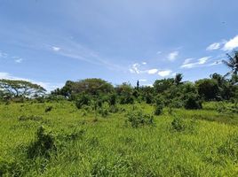  Land for sale in Barotac Nuevo, Iloilo, Barotac Nuevo