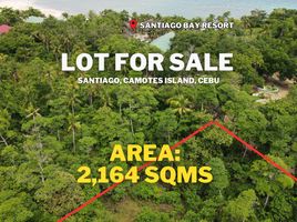  Land for sale in Poro, Cebu, Poro