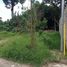  Land for sale in Ibague, Tolima, Ibague