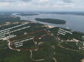  Land for sale in Pasir, East Kalimantan, Waru, Pasir