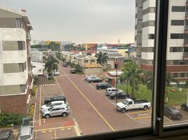 3 Habitación Apartamento en alquiler en Guayas, Daule, Daule, Guayas