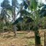  Terrain for sale in Balingasag, Misamis Oriental, Balingasag