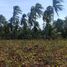  Land for sale in Balingasag, Misamis Oriental, Balingasag