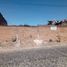  Land for rent in Guadalajara, Jalisco, Guadalajara