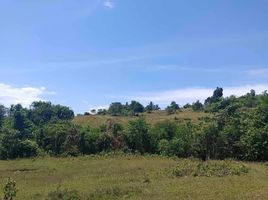  Terrain for sale in Toledo City, Cebu, Toledo City