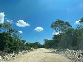  Terreno (Parcela) en venta en Progreso, Yucatán, Progreso