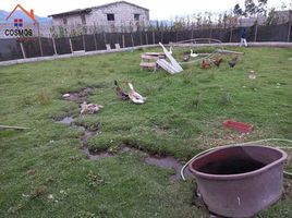  Haus zu verkaufen in Otavalo, Imbabura, San Juan De Iluman