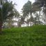  Land for sale in Mambajao, Northern Mindanao, Mambajao, Camiguin