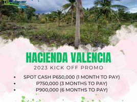  Land for sale in Valencia, Bohol, Valencia