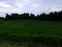  Land for sale in Puerto Princesa City, Mimaropa, Puerto Princesa City, Palawan, Mimaropa