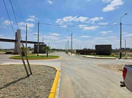  Terreno (Parcela) en venta en Castilla, Piura, Castilla, Piura, Piura