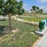  Terreno (Parcela) en venta en Castilla, Piura, Castilla, Piura, Piura