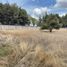  Terreno (Parcela) en venta en Puebla, Puebla, Puebla