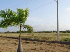  Grundstück zu verkaufen in Playas, Guayas, General Villamil Playas