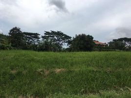  Land for sale in Tanauan City, Batangas, Tanauan City