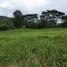  Land for sale in Tanauan City, Batangas, Tanauan City