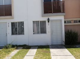 2 Habitación Departamento en alquiler en Zapopan, Jalisco, Zapopan