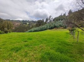  Villa for sale in Paipa, Boyaca, Paipa