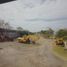  Land for rent in Medellin, Veracruz, Medellin