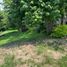  Land for sale in Zapopan, Jalisco, Zapopan, Jalisco