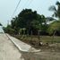  Terreno (Parcela) en venta en Alvarado, Veracruz, Alvarado