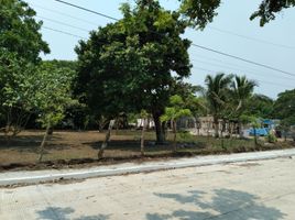  Terreno (Parcela) en venta en Alvarado, Veracruz, Alvarado