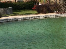  Terreno (Parcela) en venta en Asia, Lima, Asia