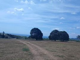  Terrain for sale in Bataan, Central Luzon, Bagac, Bataan