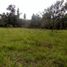  Land for sale in Villa De Leyva, Boyaca, Villa De Leyva