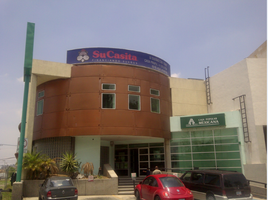 340 SqM Office for rent in Guanajuato, Leon, Guanajuato