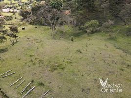  Terreno (Parcela) en venta en Guarne, Antioquia, Guarne