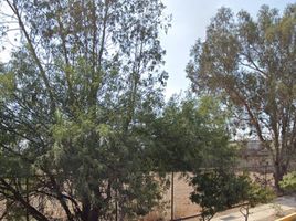  Terrain for sale in Ciudad Valles, San Luis Potosi, Ciudad Valles