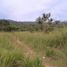  Land for sale in Puerto Princesa City, Mimaropa, Puerto Princesa City, Palawan, Mimaropa