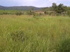  Land for sale in Puerto Princesa City, Mimaropa, Puerto Princesa City, Palawan, Mimaropa
