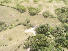  Villa en venta en Tolima, Guamo, Tolima