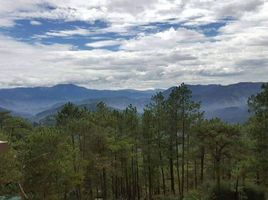  Condo for sale in Cordillera, Baguio City, Benguet, Cordillera